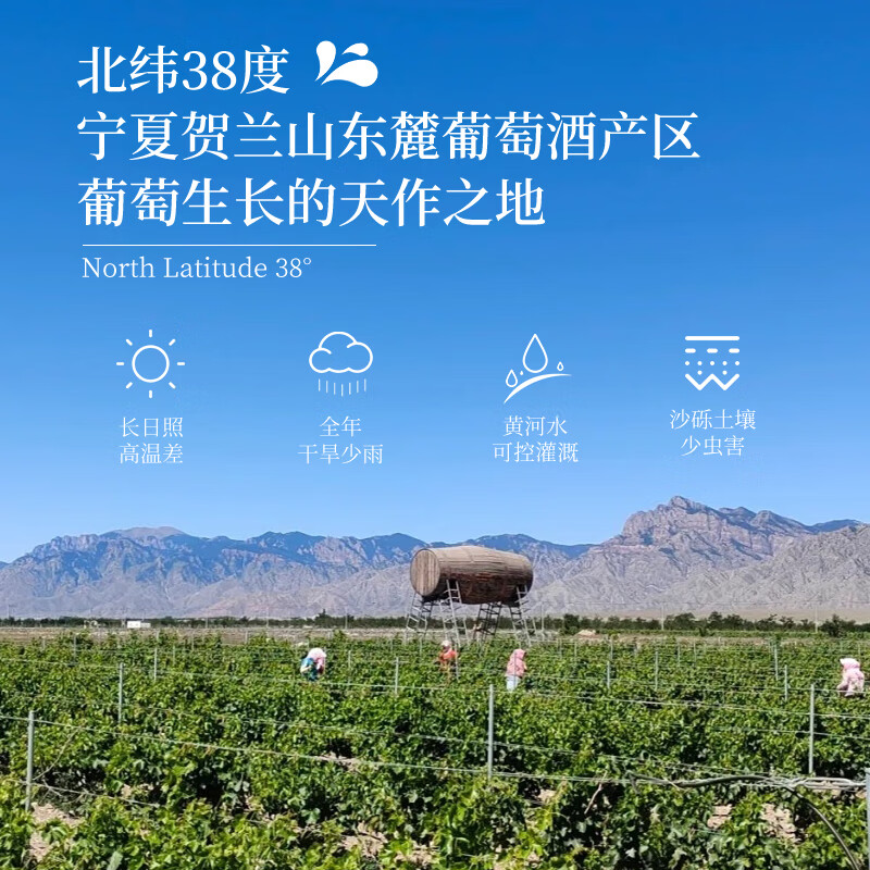 帝月13度沁香葡萄酒红酒宁夏贺兰山黑比诺干红甜葡萄酒过节送礼整箱装 沁香13度干红6瓶整箱（塑料开瓶器×1）