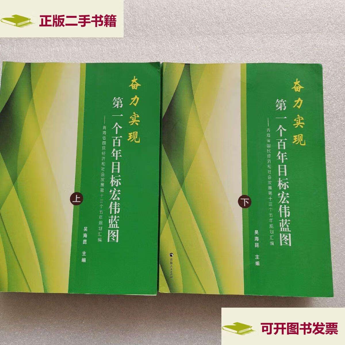 【二手9成新】奋力实现 个百年目标宏伟蓝图【上下册】 /吴海昆 青海