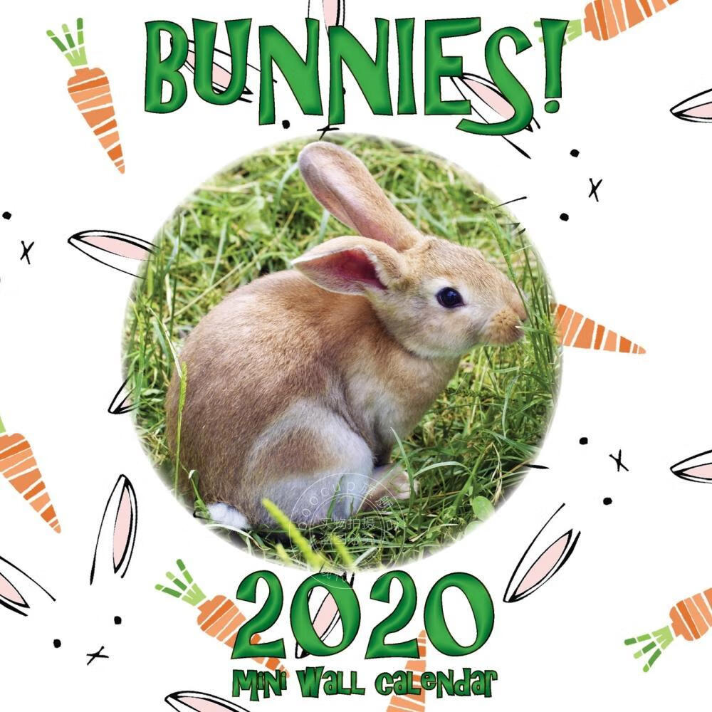 【2周达】【预售按需印刷】bunnies! 2020 mini wall calendar