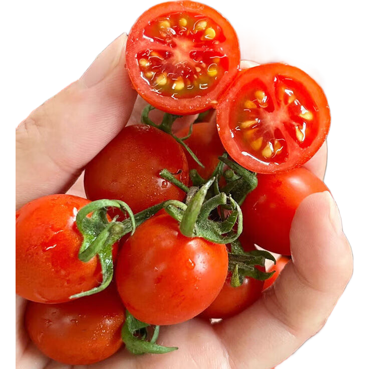 13��20�㣺С����ʥŮ�� ��ժ2��װ 5.89Ԫ(����ȯ)