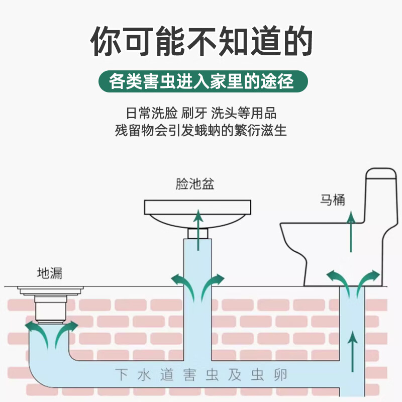 KINCHO金鸟下水道小飞虫厕所地漏灭杀飞虫驱虫防虫卵滋生去异味物理捕捉 厨房+浴室杀虫套装