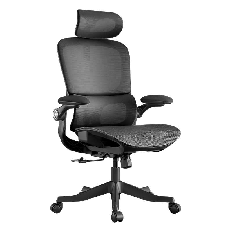 ٽۣڰ׵P2 Pro幤ѧεΰ칫˹ѧѧϰ羺Ӿ 461.79Ԫ Ծɻ+ֵּ413.79Ԫ