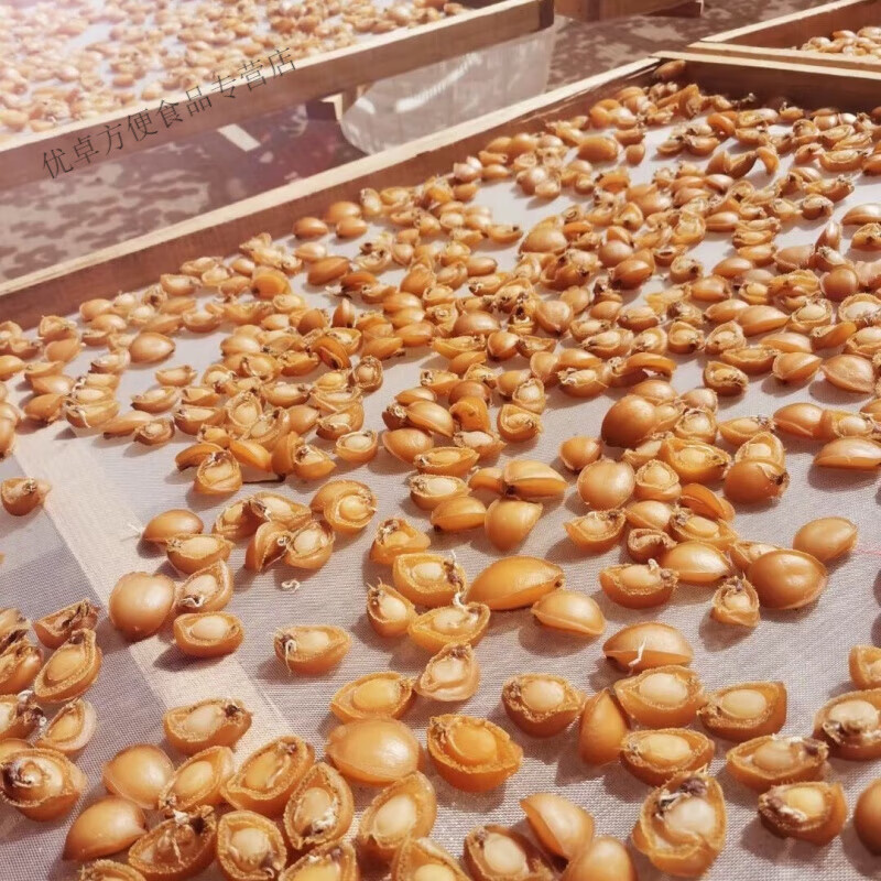 螺干石鳖干海鲜水产非即食 95%抢精品特大号29只仅剩2单 七星鲍16斤晒