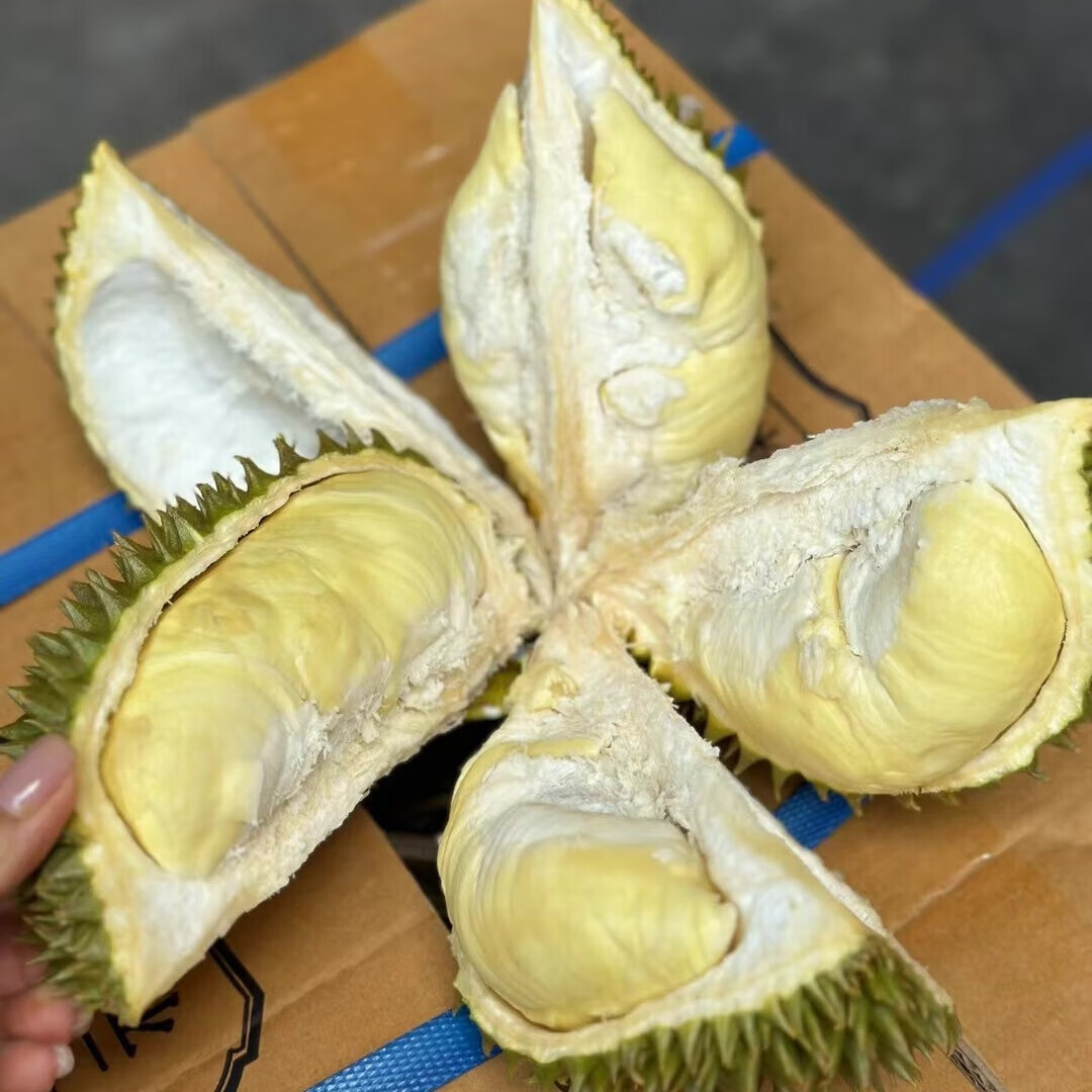 报恩榴莲5斤大果4房肉泰国鲜果金枕榴莲软糯香甜 （4-5房）金枕鲜果S级4-4.3斤