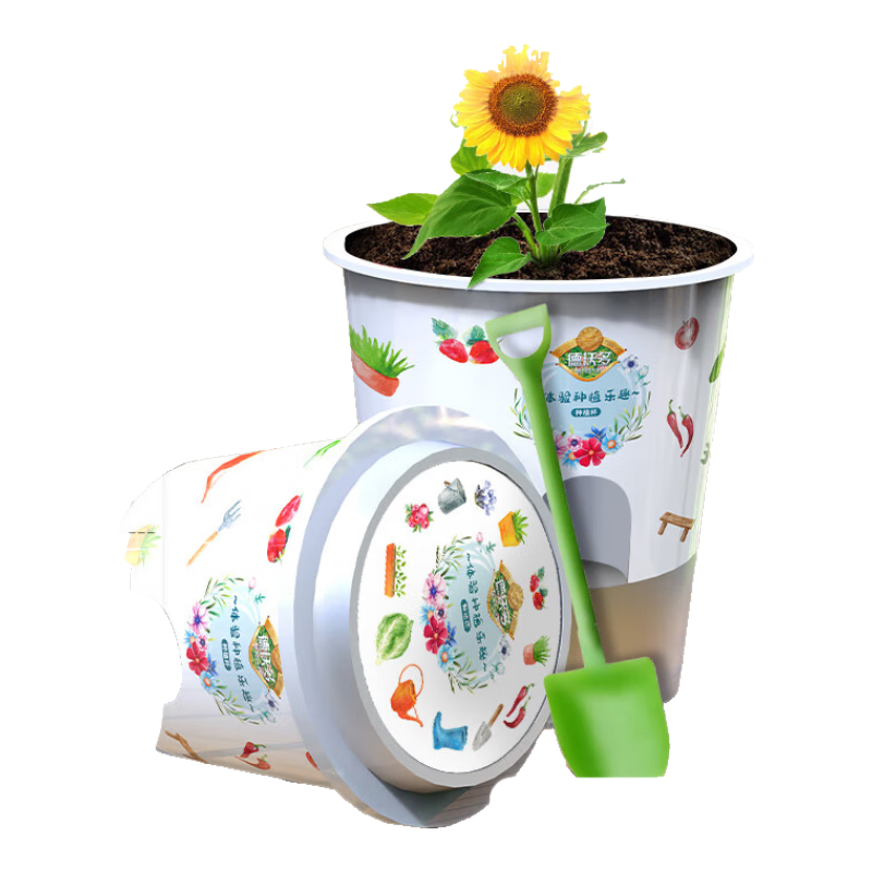 ���ֶ����տ�����DIY��ͯȤζ��ֲ������װСѧֲ��۲��׶�԰��һ