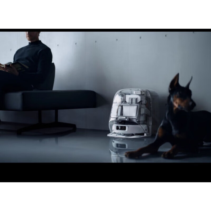 DJI Dji Romo扫地机器人扫地拖地全自动家居清洁智能扫地吸尘 ROMO_P_旗舰版 官方标配