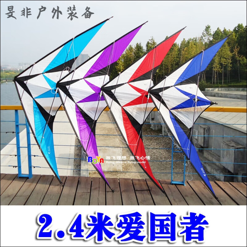 4米爱国者双线运动特技风筝练习工具 天蓝色爱国者【练习工具】