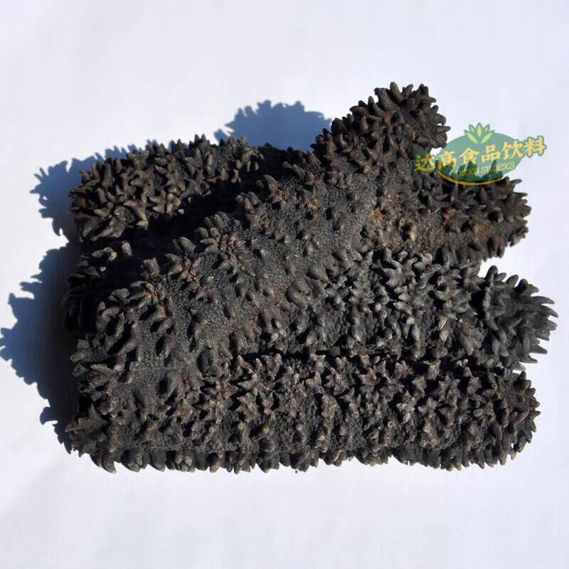 食怀澳洲梅花参进口海参野生淡干海参干货深海冷水刺参水产 规格二:3