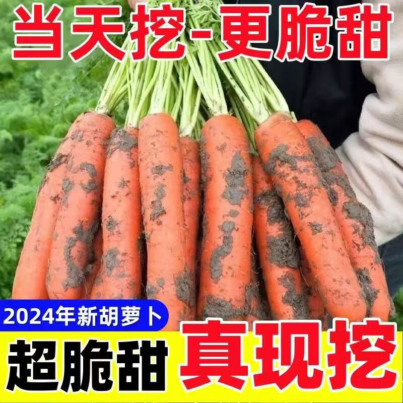 商品图片 2