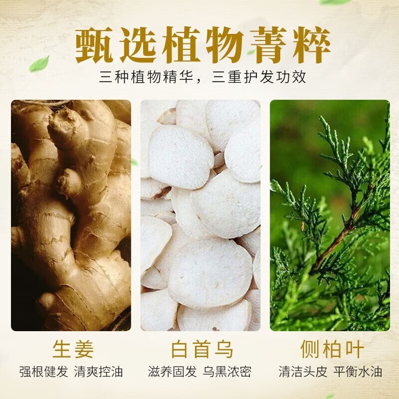 霸王育发防脱洗发水套装控油清爽固发滋养毛囊防掉发套盒男女士洗发露 育发防脱洗发液380ml*2+80ml*2
