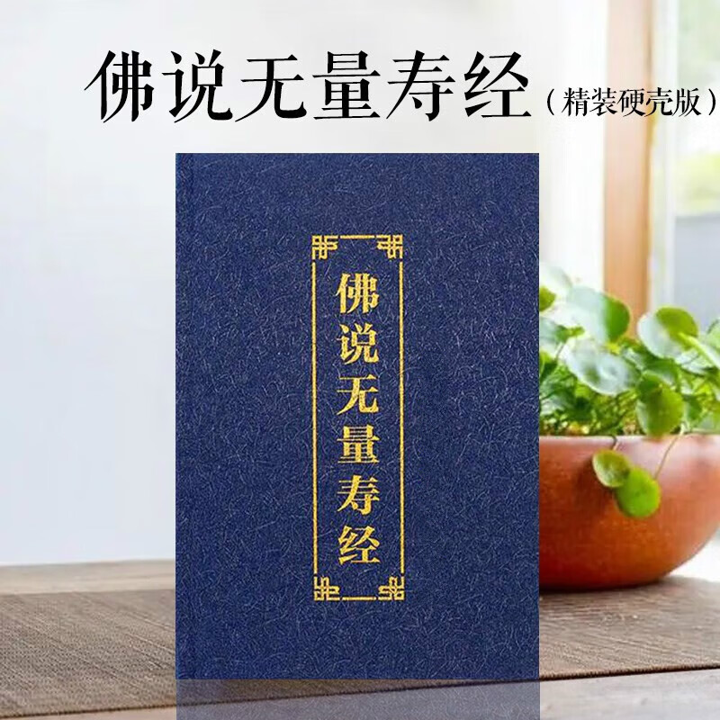 无量寿经读诵本简体拼音大字注音版佛说无量寿经佛经书现代字结缘