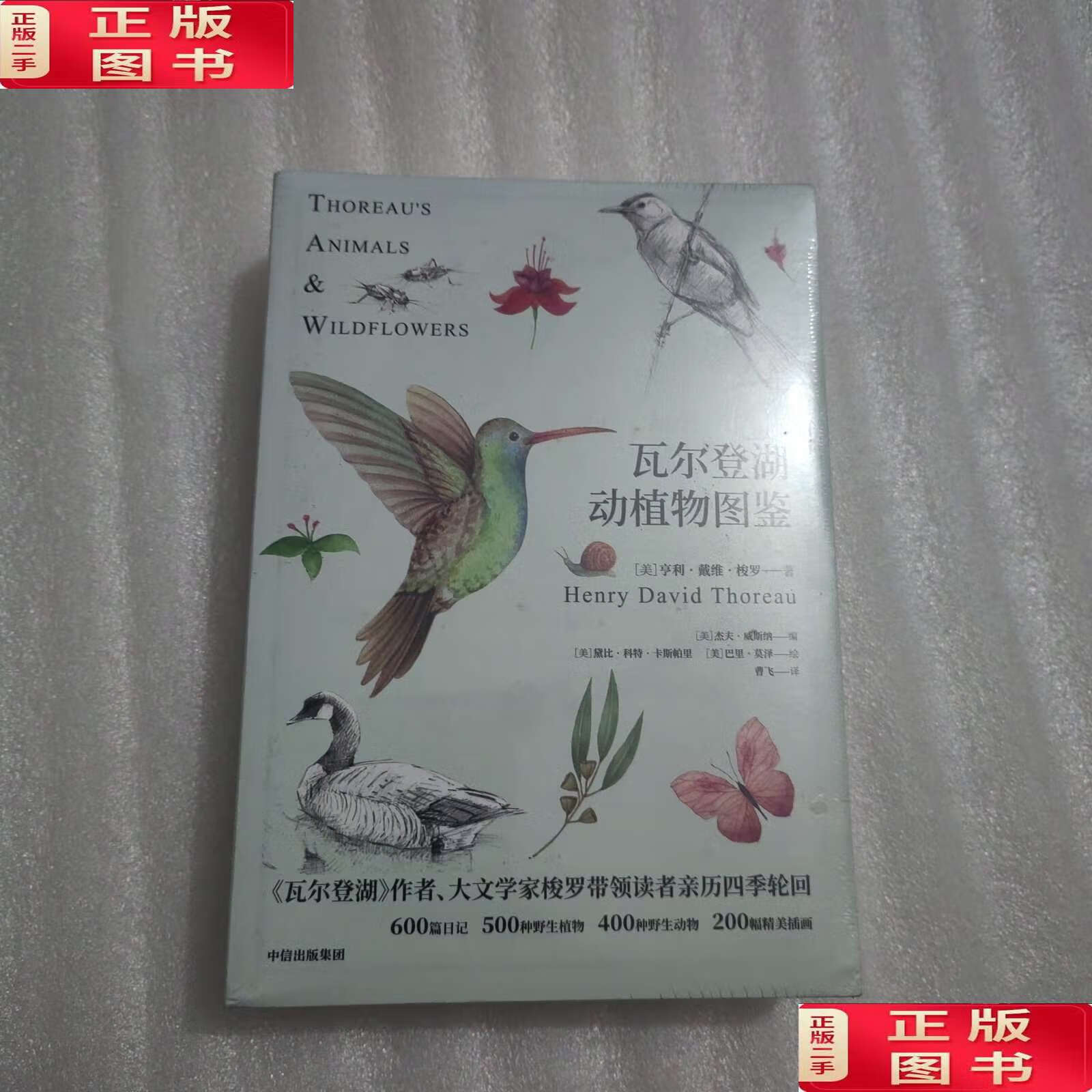 【二手9成新】瓦尔登湖动植物图鉴 /亨利·戴维·梭罗 中信集团,中信