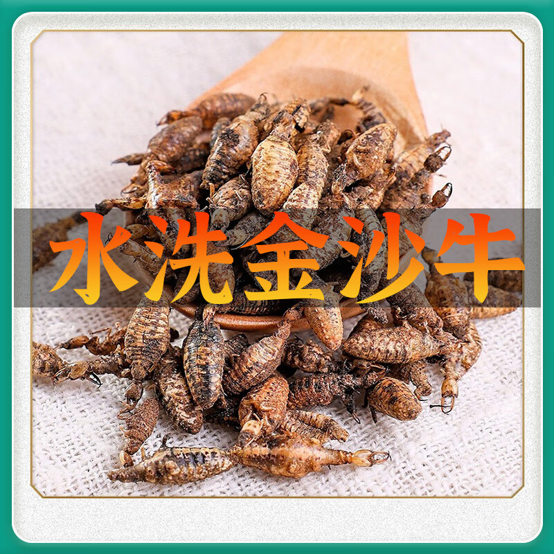 北京同仁堂金沙牛中药材野生水洗无沙地牯牛沙牛虫天然沙鸡地拱干货