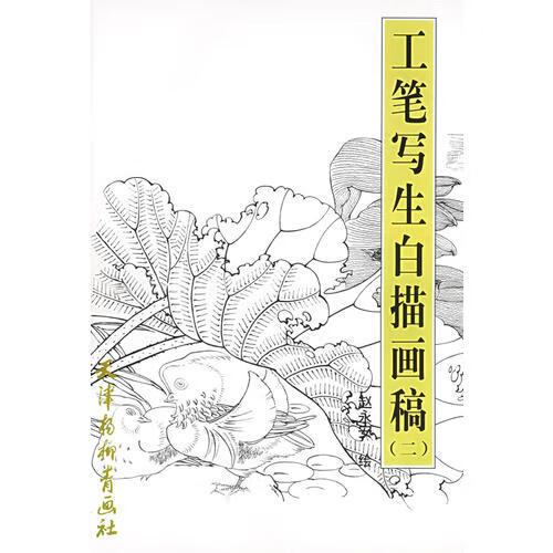 工笔写生白描画稿(二)