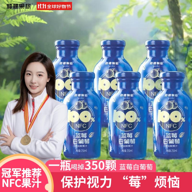 种棵果树NFC0添加蓝莓汁白葡萄100%混合果汁250ml*6瓶礼盒装