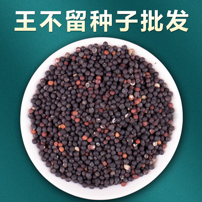 中药材王不留行籽耳穴贴王不留行种子王不留行子王不留籽下奶 王不留