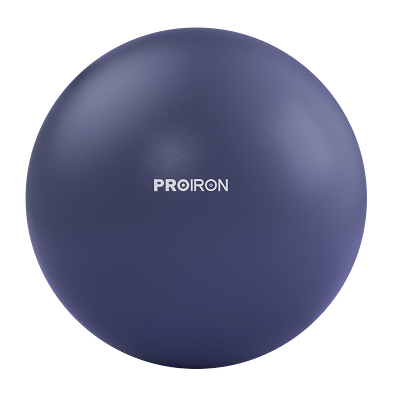 PROIRON������ �٤���צ��С����׼�ѵ��ר����������25cm������ �� 25.5Ԫ