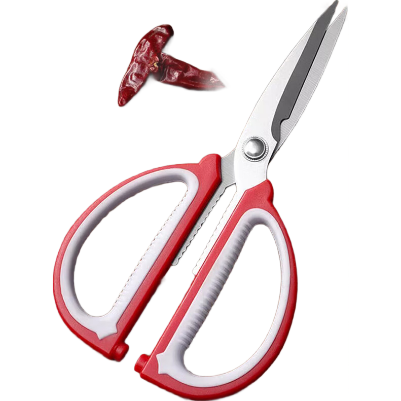 �������ǿ���Ͻ���� 1�� 1Ԫ(����ȯ)