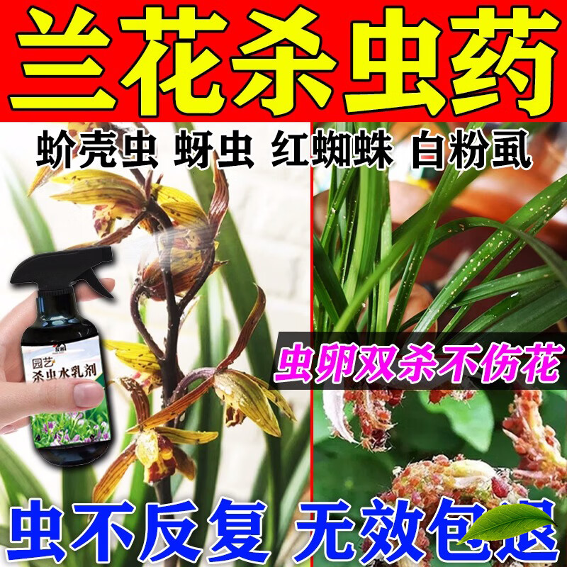 兰花专用药杀虫剂蚧壳虫喷剂防黄叶干尖烂根兰花杀虫药蚜虫杀菌 1盒