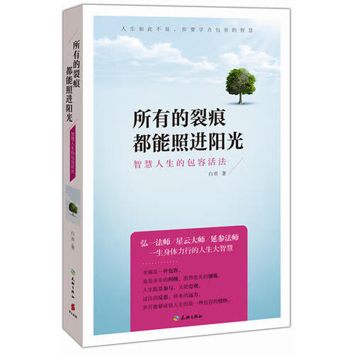 【正版现货】所有的裂痕都能照进阳光