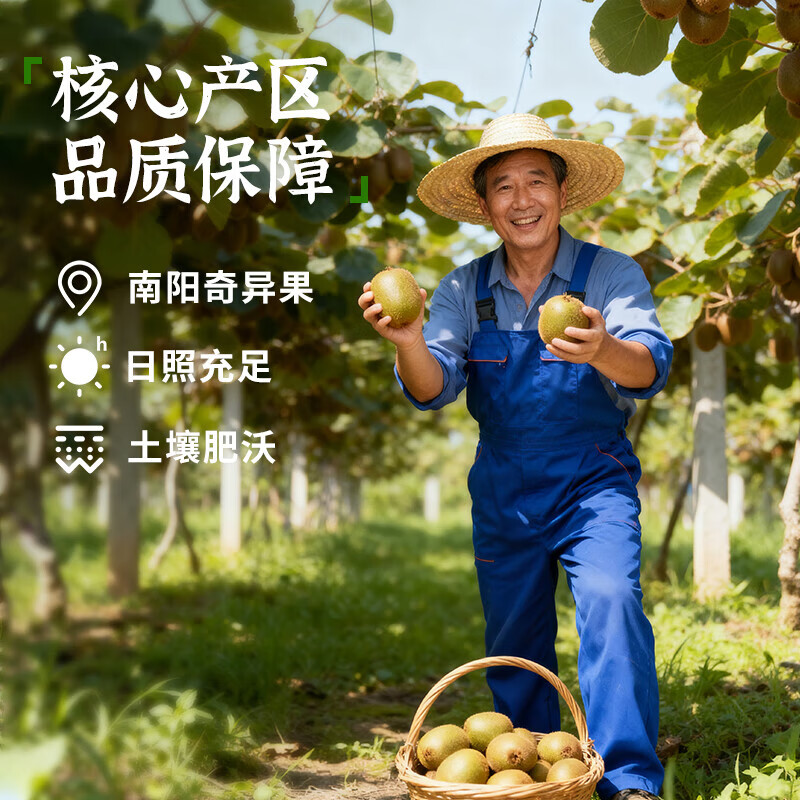 田良季黄心猕猴桃【多地次日达】南阳新鲜金果奇异果孕妇应季水果送礼盒 【彩箱】24颗标准果(单果约50-70g) 【万里挑一】臻选15年老树果