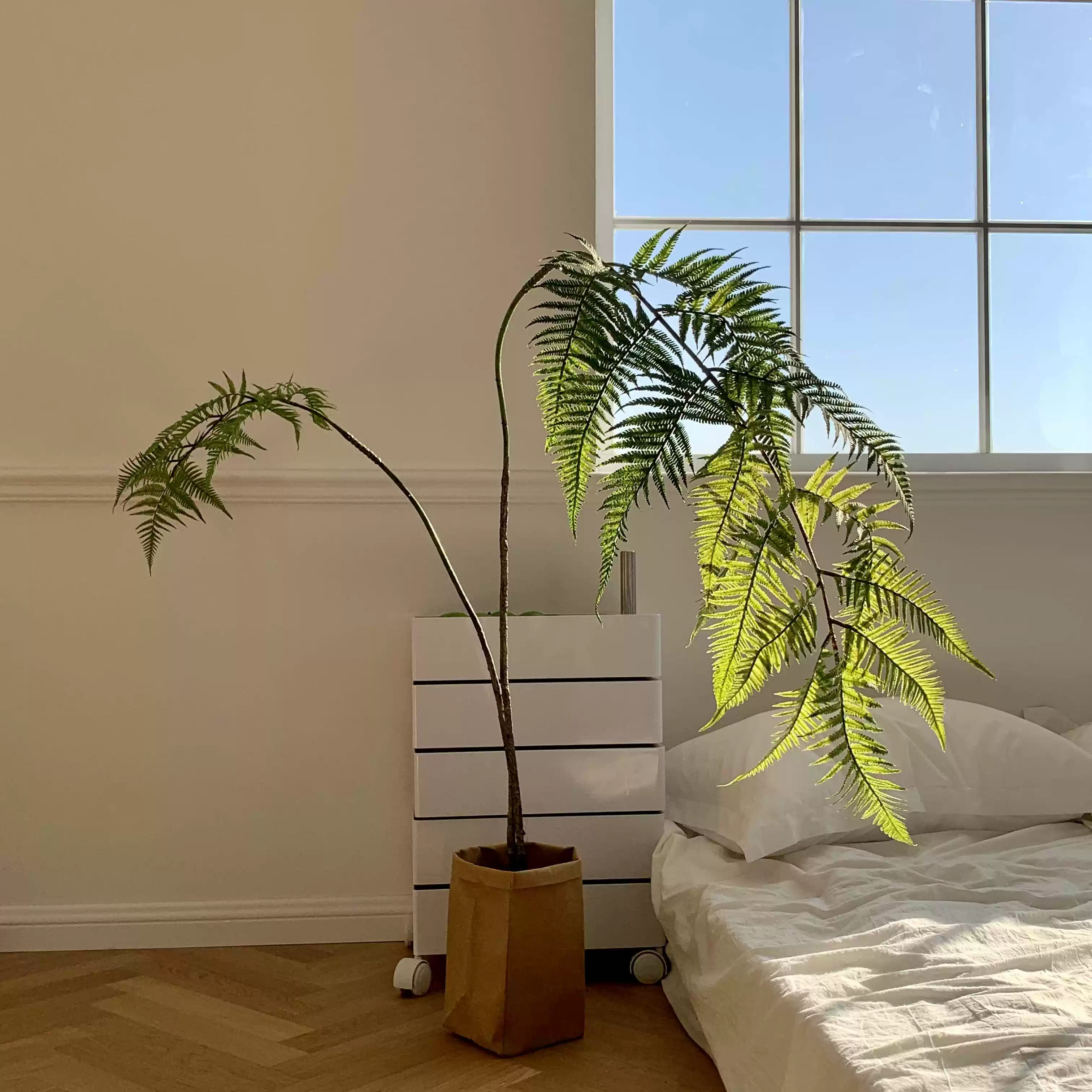 咏幻楼夏家仿真绿植金丝猴头蕨室内橱窗假植物摆件日式网红禅意盆景