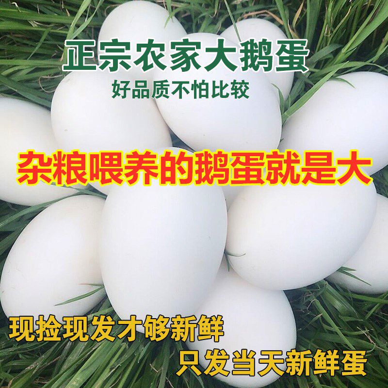 百世富澤（BAISHIFUZE）百世富澤鵝蛋新鮮孕婦黃河灘正宗農家散養土鵝蛋批發(fā)超大12枚1151 12頭