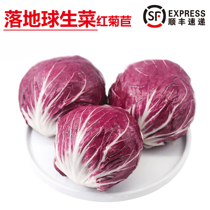 旷古农业【顺丰】新鲜落地球生菜 红叶包菜紫苣 红菊苣 沙拉蔬菜球