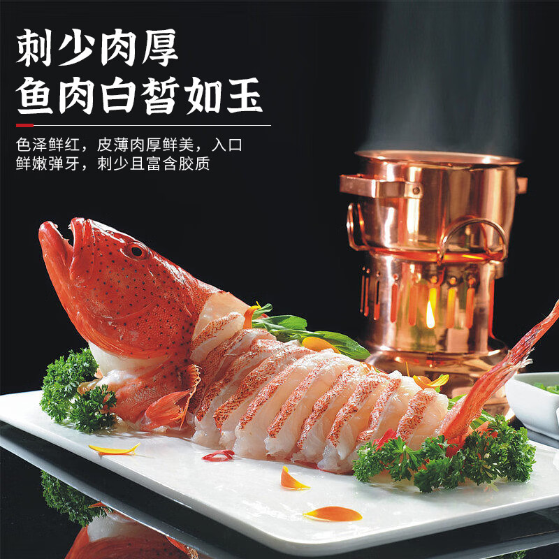 裕琳珑东星斑 特大石斑鱼 新鲜冷冻深海鱼 红斑鱼 非燕尾斑海鲜水产鱼类 深海东星斑1条(1.8-2.1斤/条)
