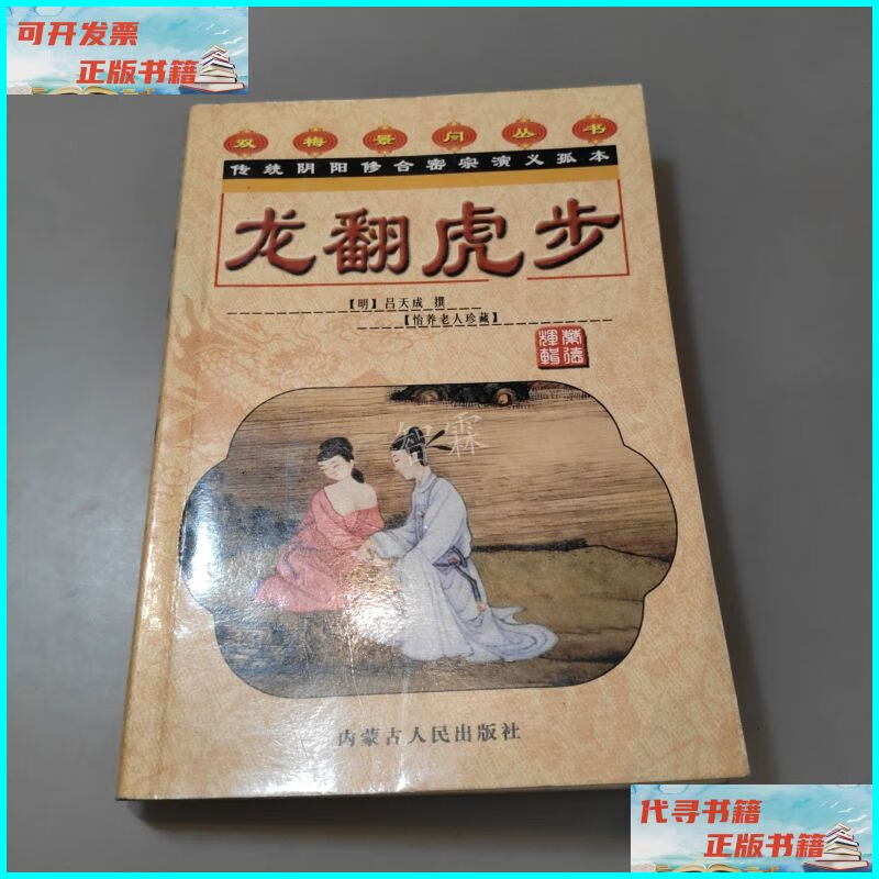 【二手9成新】双梅影闇丛书:龙翻虎步 2001年一版一印 内蒙古人