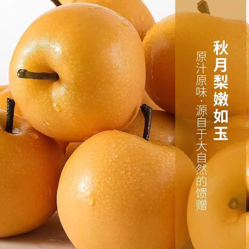 鲜宝道秋月梨净重4.5斤 单果250g