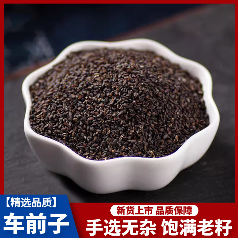 新货车前子中药材500g克包邮 精选新鲜车前草籽干货车前子 泡水喝车前