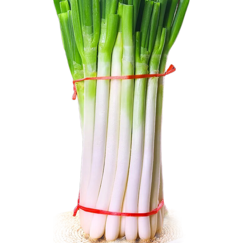 2025ͷ˴ ũַ ȥҶ5װ 9.99Ԫ(ȯ)