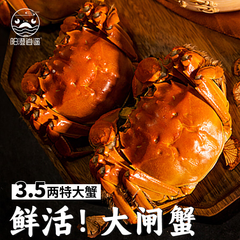 【活蟹】阳澄逍遥大闸蟹鲜活螃蟹公3.2-3.5母2.2-2.5两4对8只现货中秋送礼盒湖海鲜生鲜
