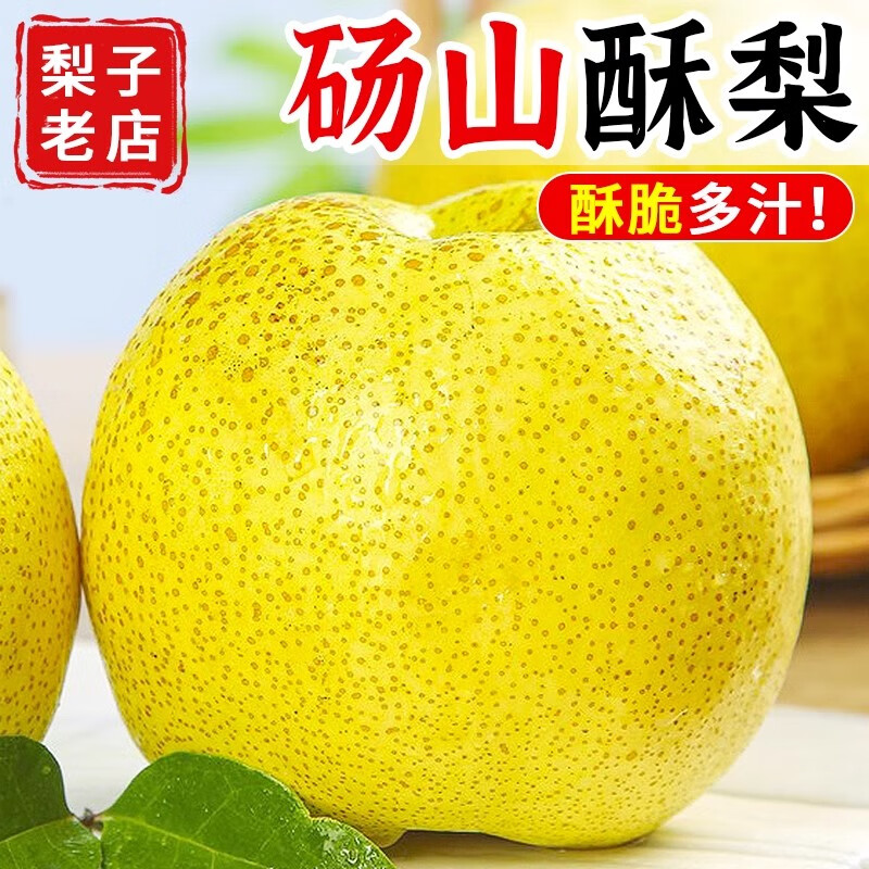 安徽正宗碭山酥梨梨子應(yīng)當(dāng)季新鮮水果香梨脆雪梨特產(chǎn)整箱包郵 9斤裝【單果250g起】