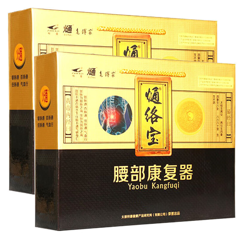 理疗仪 梓豪熥络宝腰部康复器腰椎理疗仪通络宝理疗仪辅助治疗腰椎骨增生腰椎间盘突出腰肌劳损理疗器熥疗包 梓豪熥络宝腰部康复器套装(1控制器+1熥疗包)