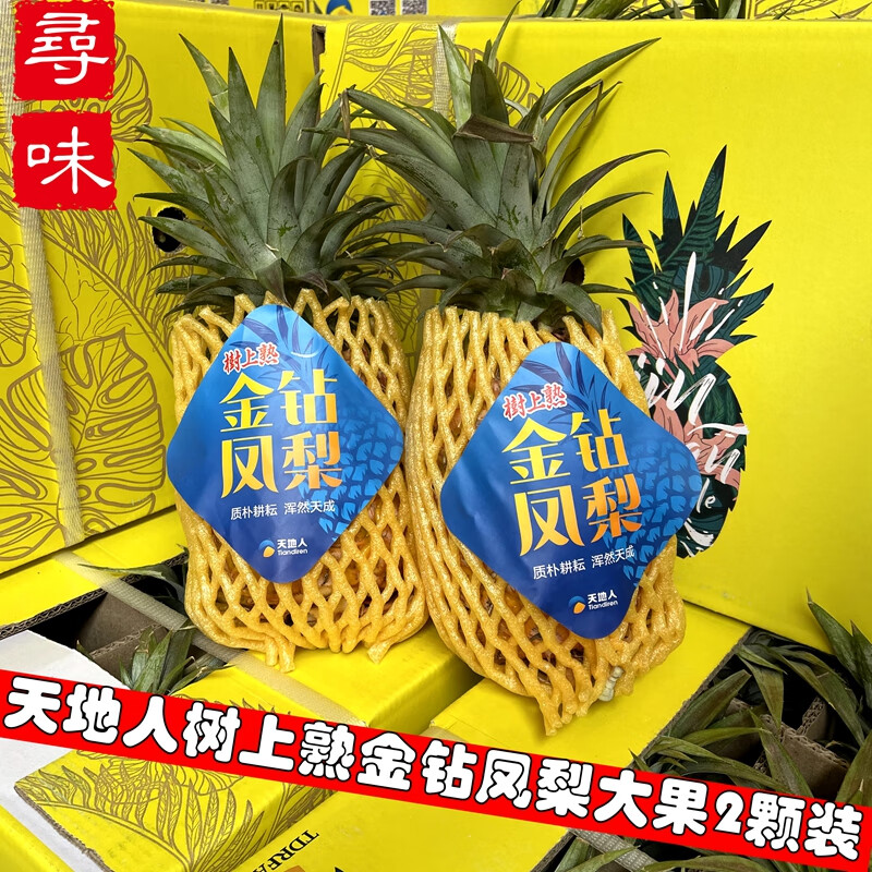 玫栀海南天地人金钻凤梨大果新品种树上熟凤梨非手撕凤梨 1000g 约2斤