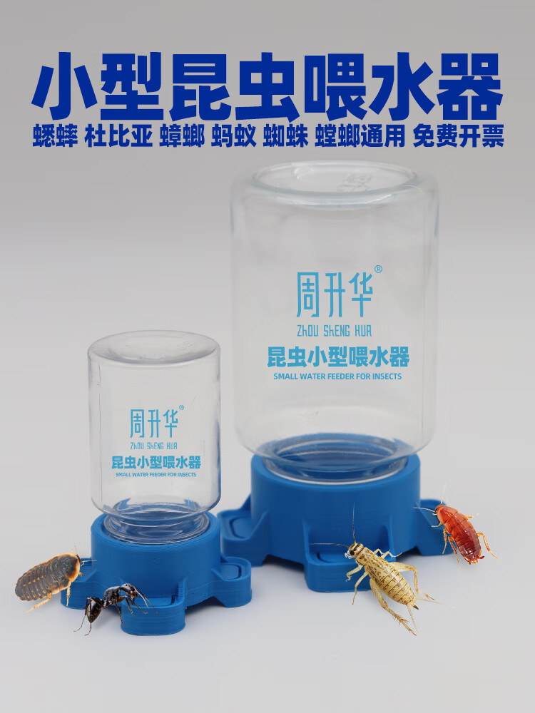 mmpet昆虫小型饮水器蛐蛐白蟋蟀蜈蚣蜘蛛蚂蚁螳螂油葫芦喝水喂水器