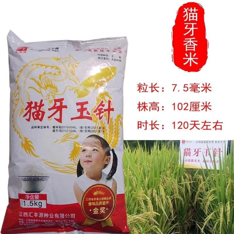 花俊猫牙玉针水稻种子 猫牙米种子2019年江西稻品种品质鉴评金奖