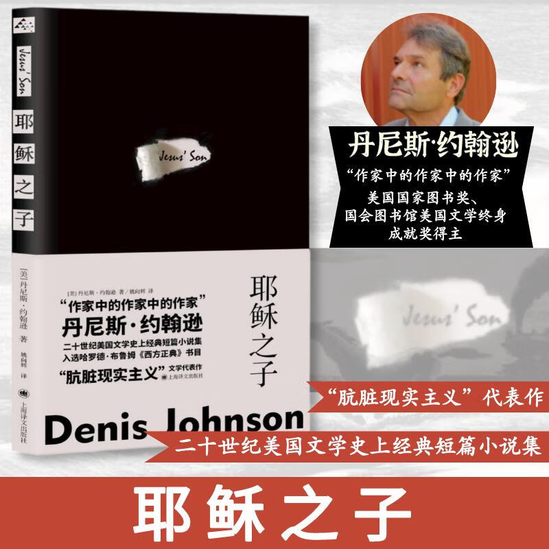 耶稣之子 [美]丹尼斯·约翰逊著姚向辉译 著 姚向辉 译 图书