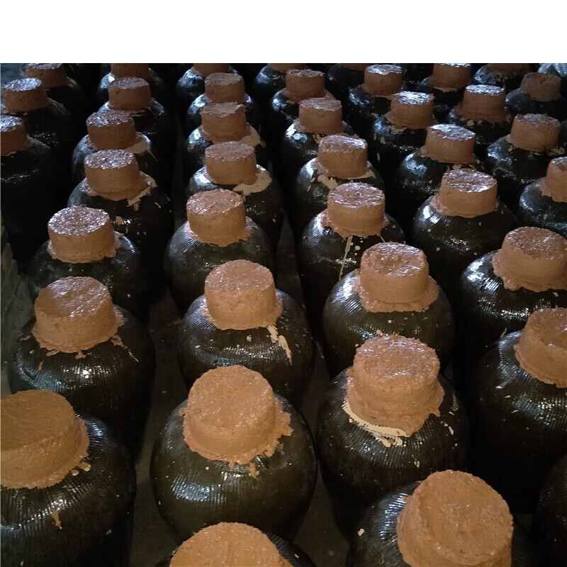 虎钢馋福建老酒10斤 古田老酒糯米酒红曲酒福建老酒