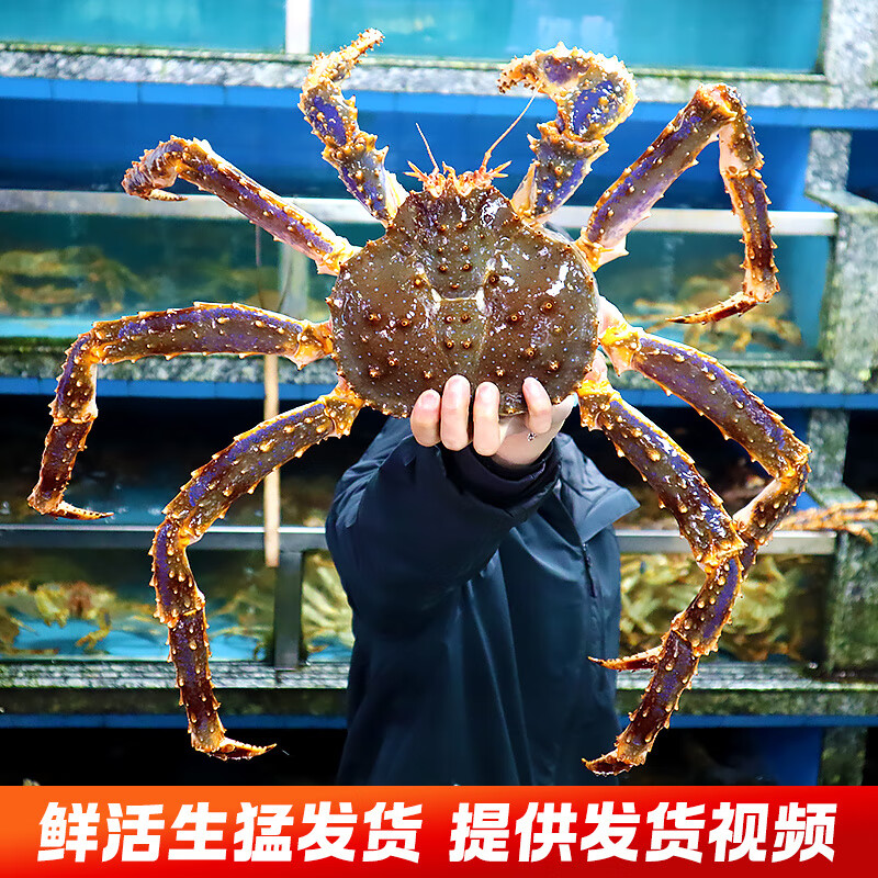 胖东来品质代购蟹鲜活超特大10海鲜水产4-8斤活体长脚蟹帝皇蟹上 6-6.3斤1只【包活到家】