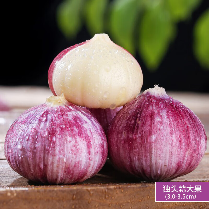 楚川獨(dú)頭蒜紫皮云南2024新蒜干蒜5斤獨(dú)蒜大蒜頭批發(fā)新鮮蒜頭濕大蒜10 2500g 獨(dú)頭蒜-大果(3.0-3.5cm)