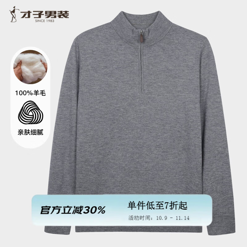 才子（TRIES）商务男士半高领羊毛衫秋冬纯色毛衣男100%纯羊毛轻奢保暖针织衫 灰色 M 46 165/84A
