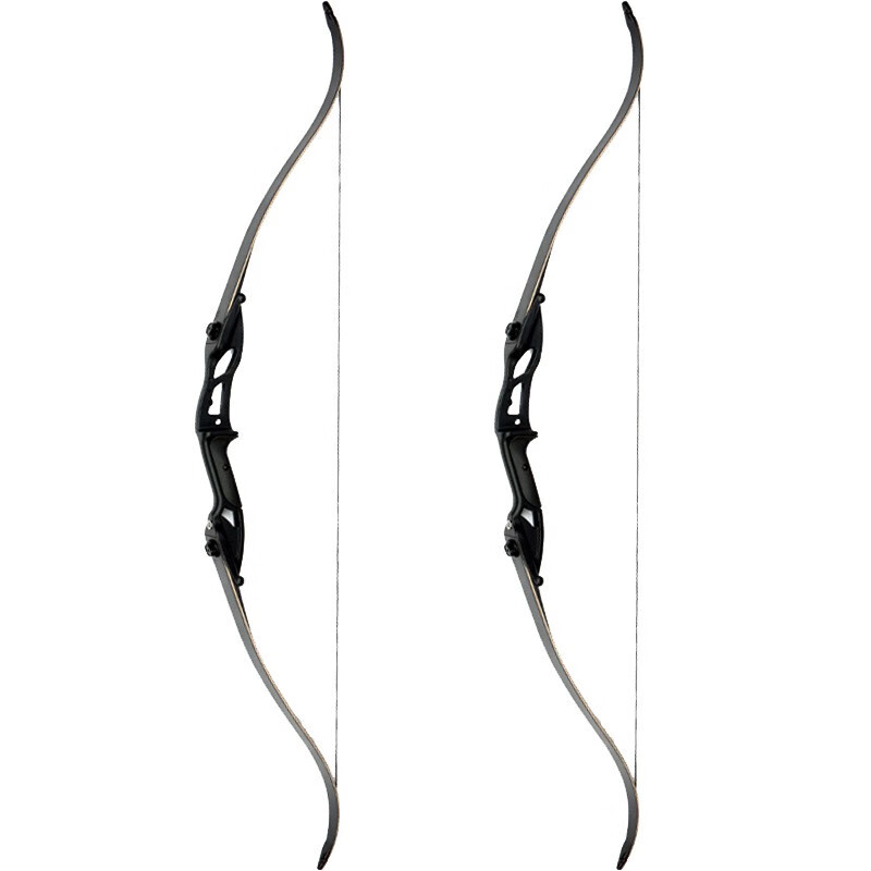 澳颜莱新手美猎弓箭竞技反曲弓箭套装新手入门练习合金美式射箭射击