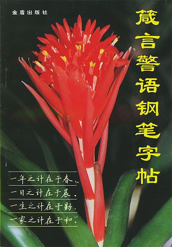 箴言警语钢笔字帖 丁谦 书写,徐群 选编 9787800226946【正版】