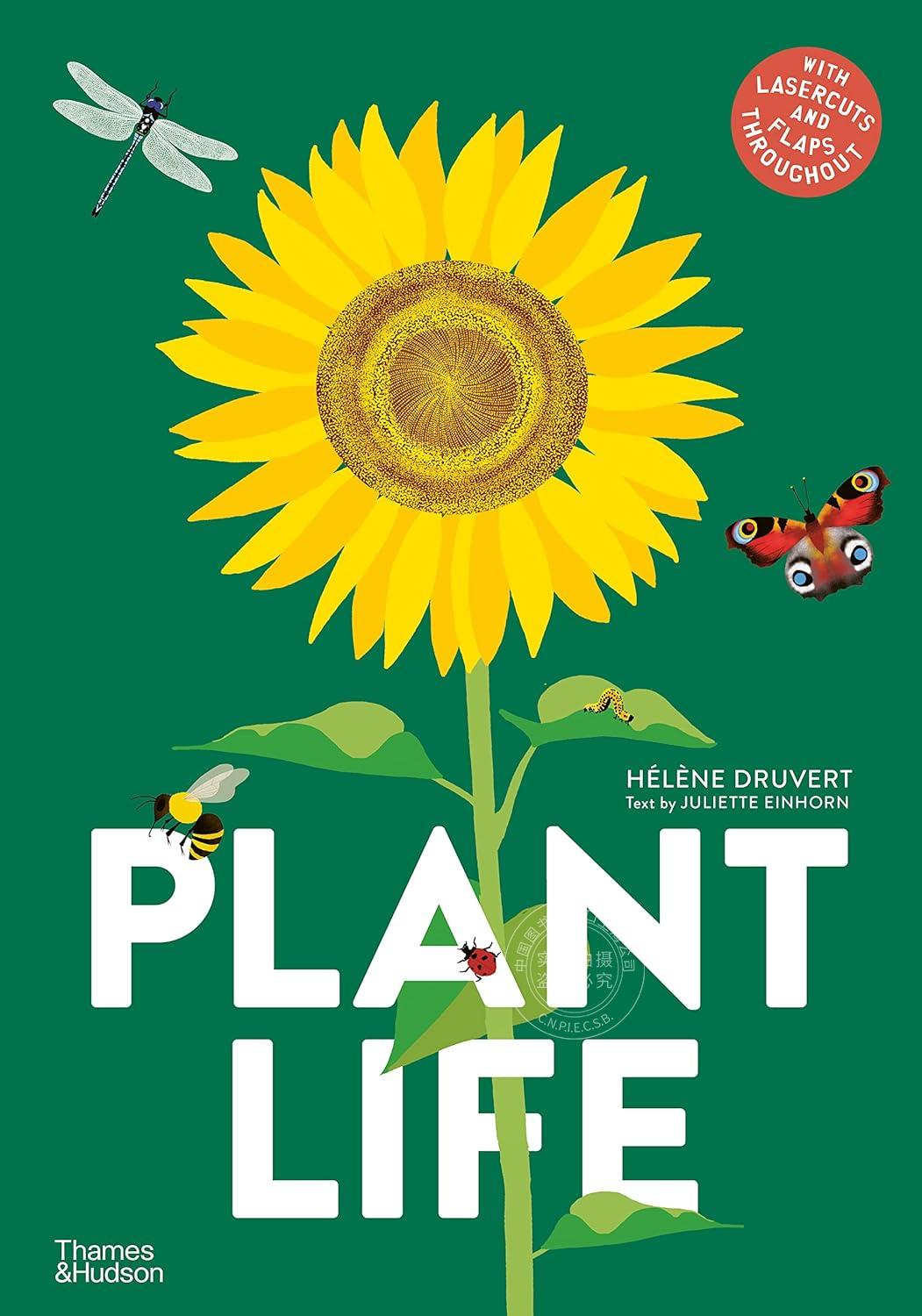 现货 植物生长 helene druvert 海伦·德鲁维特 儿童科普绘本 精装