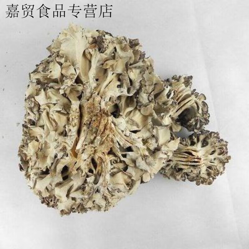 食怀栗子蘑 灰树菇 莲花菌 千佛菌 贝叶多孔菌 500克 灰树花中材栗子