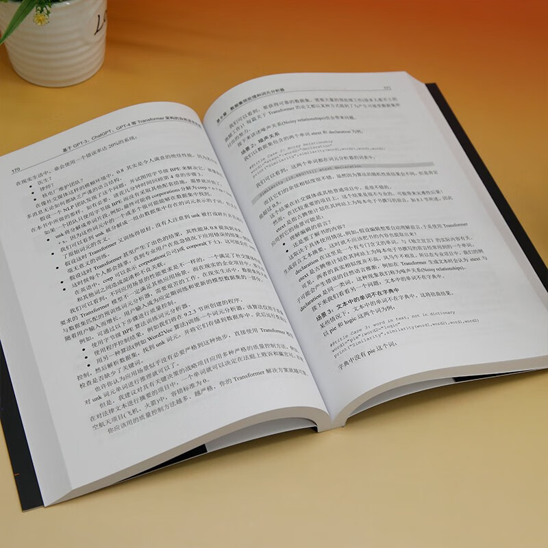 大模型应用解决方案 基于ChatGPT和GPT-4等Transformer架构的自然语言处理