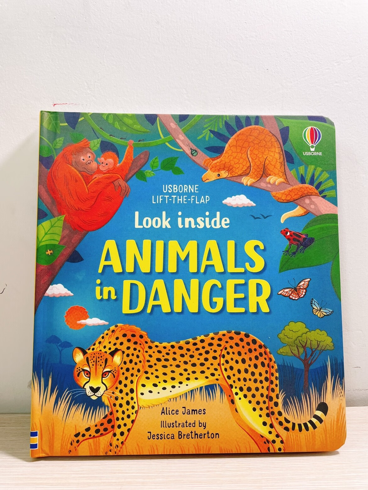 animals in danger 濒危动物 英文儿童百科书翻翻英语绘本